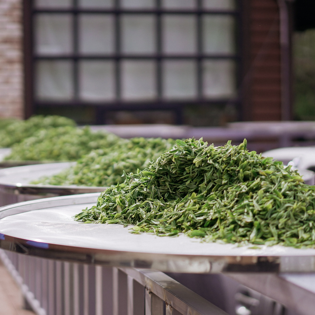 230412_인스타_차와닮은삶 업로드 (1).png