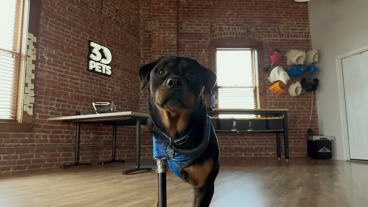 iPhone 14 Pro _ Trip’s Story _ Apple 1-15 screenshot.png