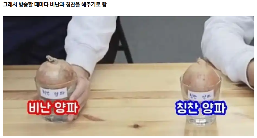 화면 캡처 2022-12-29 124810.png