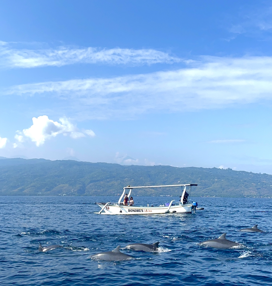 스크린샷 2023-07-09 오후 11.56.09.png