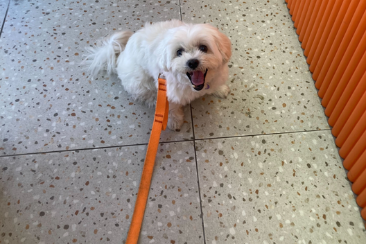 스크린샷 2024-09-23 163800.png