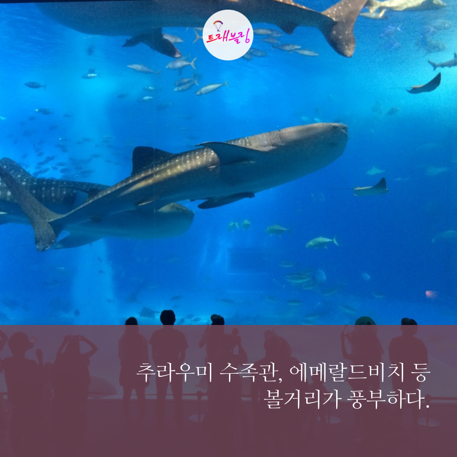 2박3일 자유여행005.png