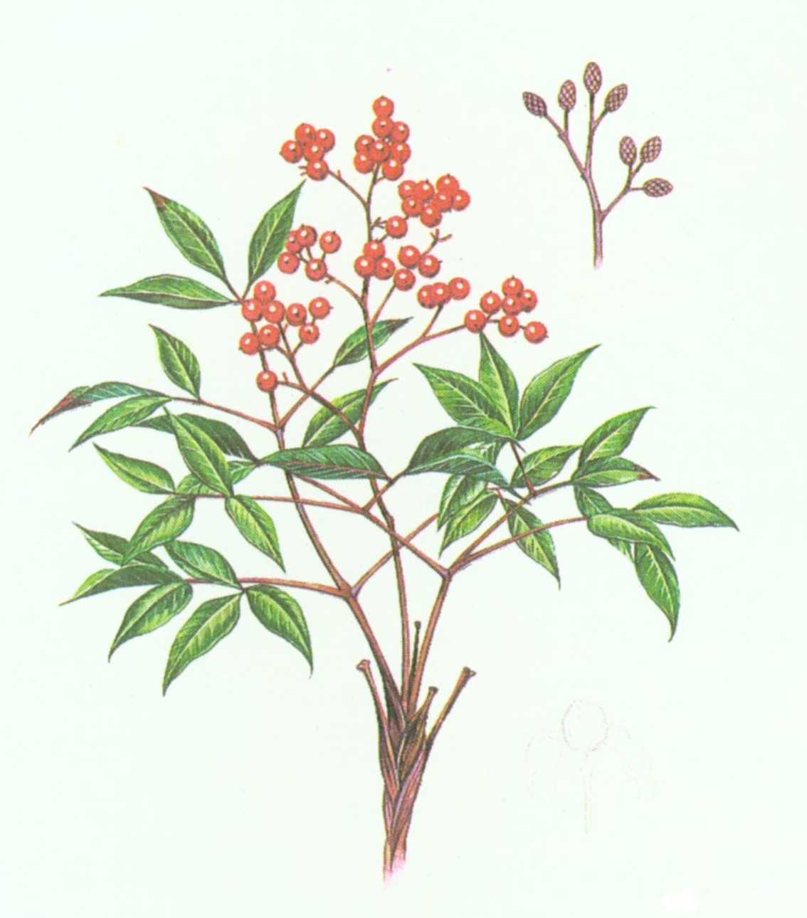 스크린샷 2018-02-07 00.26.29.png