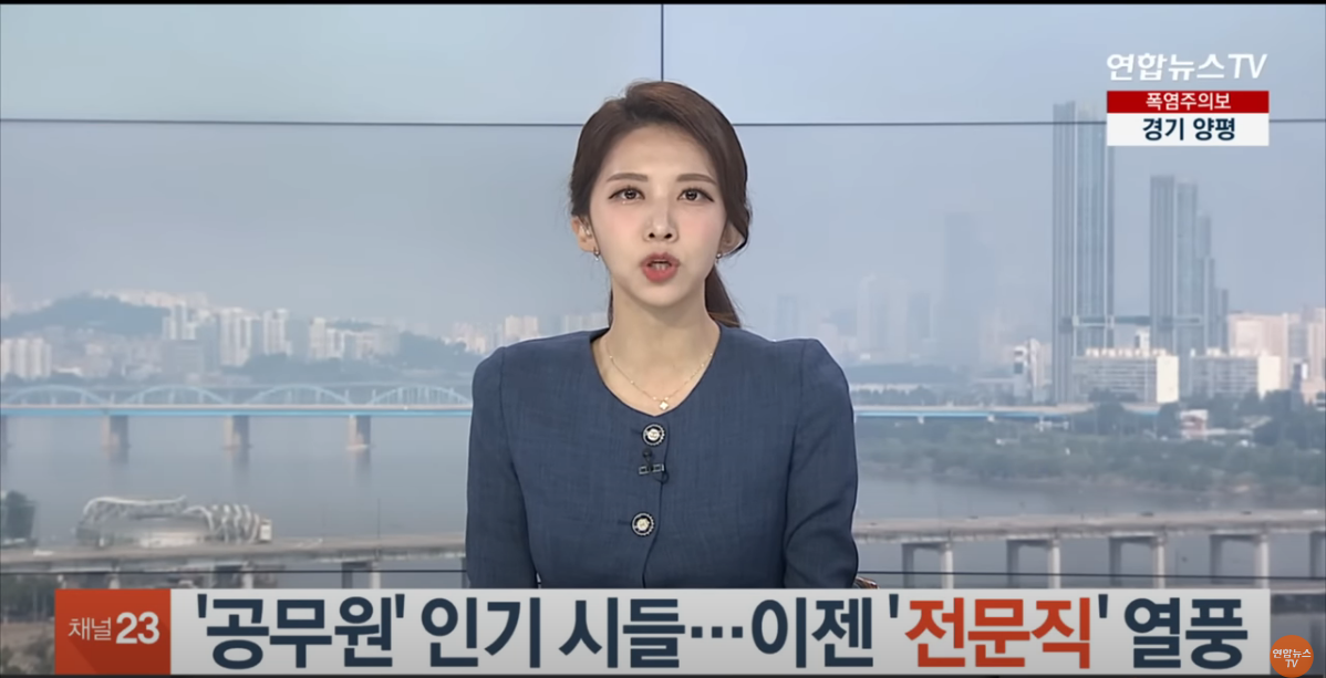 공무원 인기 시들 이젠 전문직 열풍.png