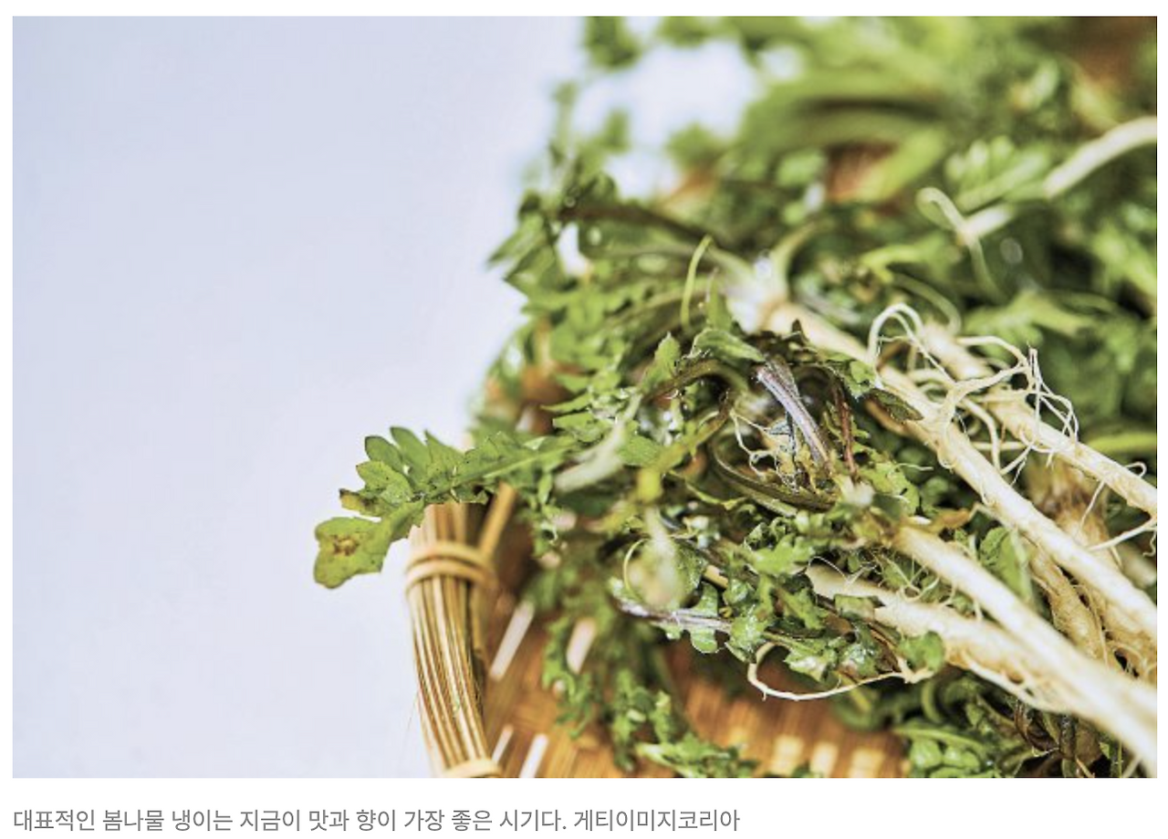 스크린샷 2025-02-22 오전 11.01.41.png