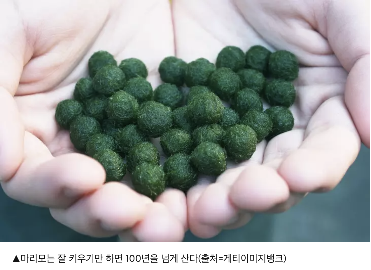 스크린샷 2025-07-26 오후 11.53.19.png