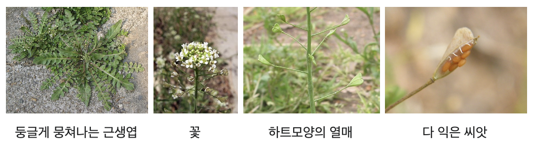 스크린샷 2025-02-22 오전 10.39.55.png