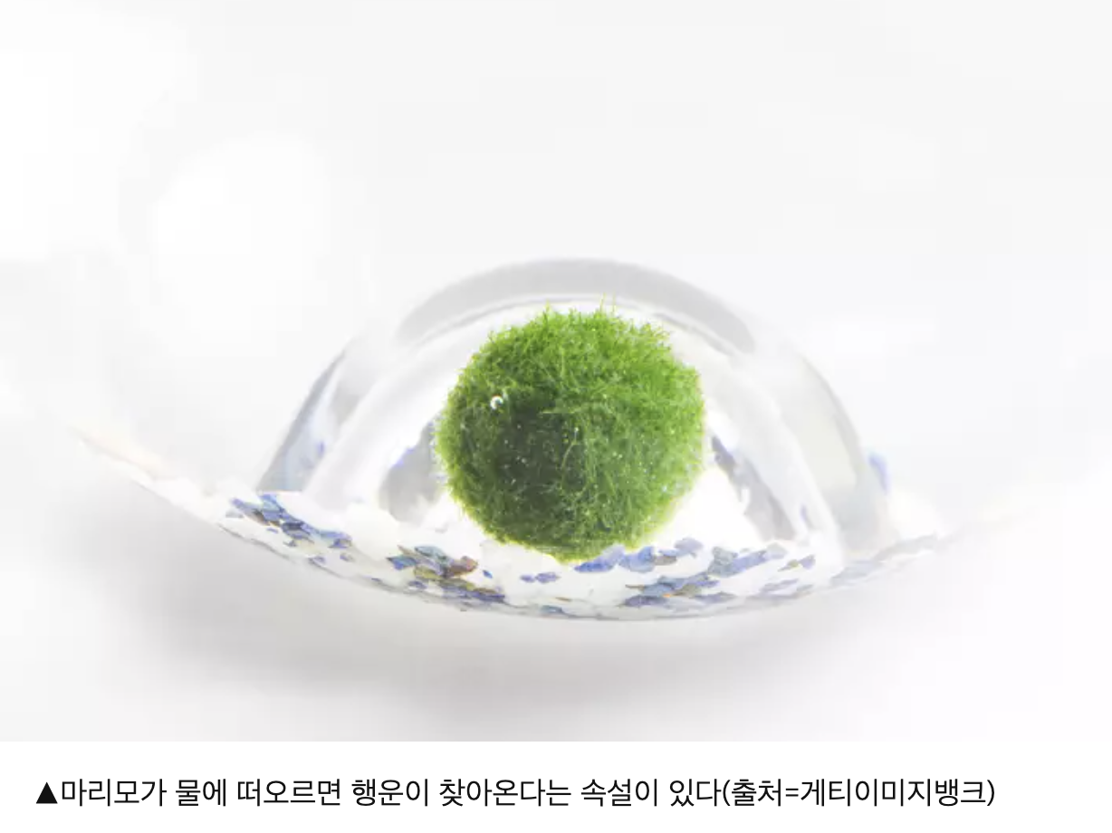 스크린샷 2025-07-26 오후 11.53.26.png