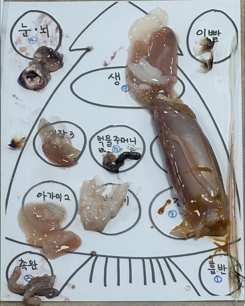 스크린샷 2025-02-01 오후 1.57.09.png