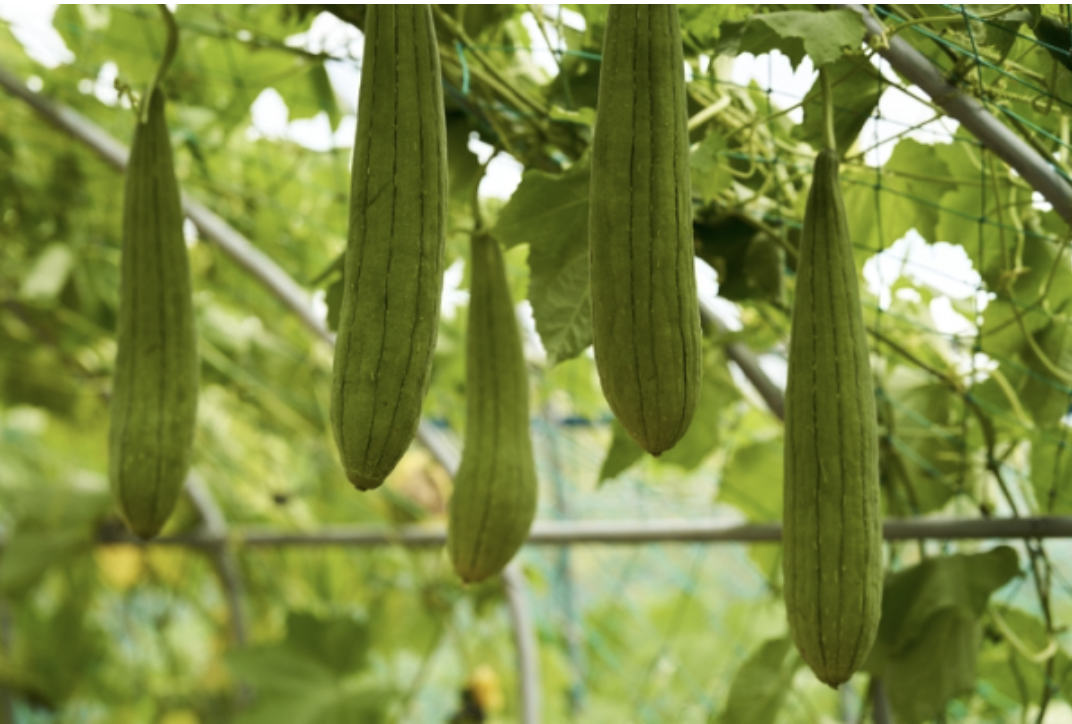 스크린샷 2025-05-26 오후 11.37.32.png