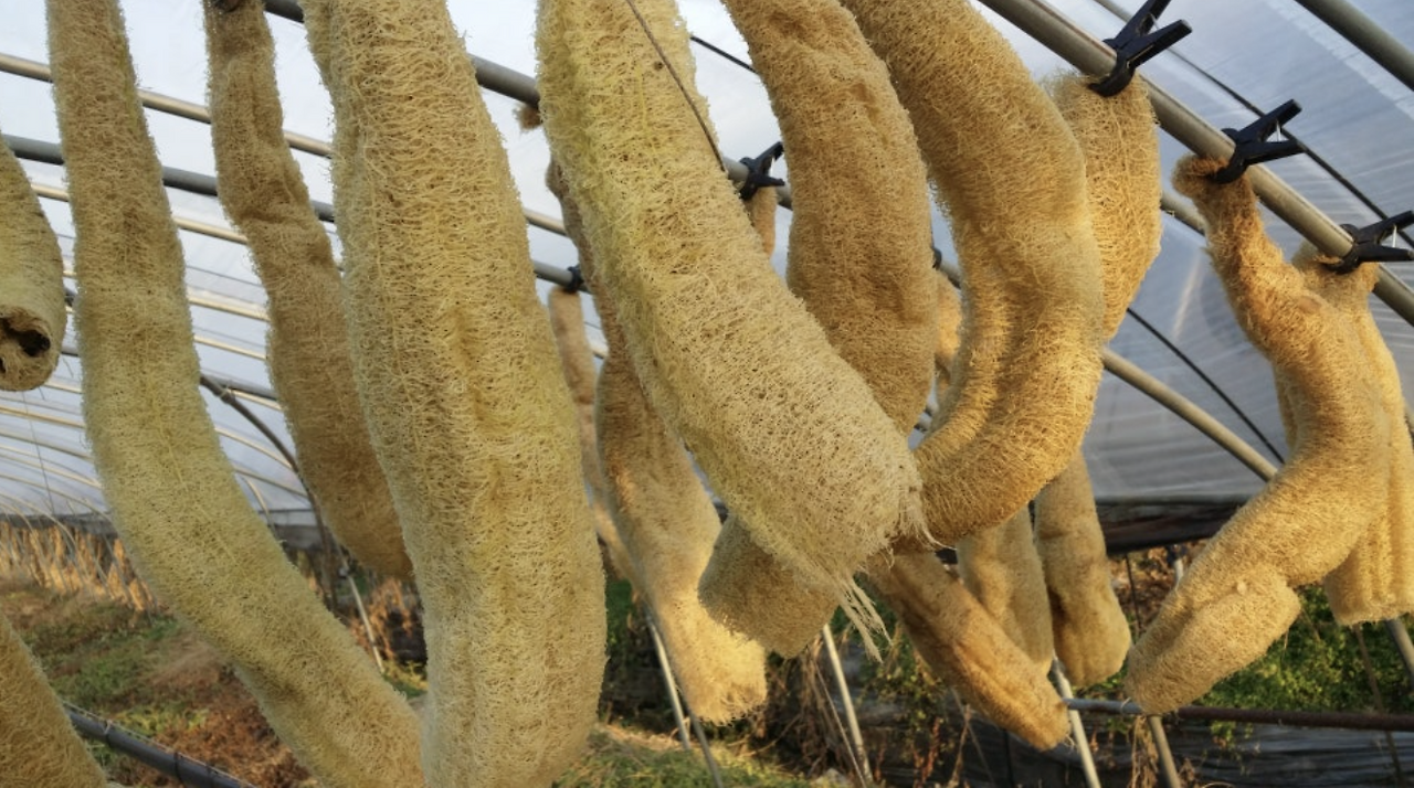 스크린샷 2025-05-26 오후 11.45.48.png