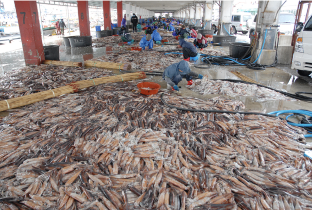 스크린샷 2025-02-01 오후 6.41.51.png