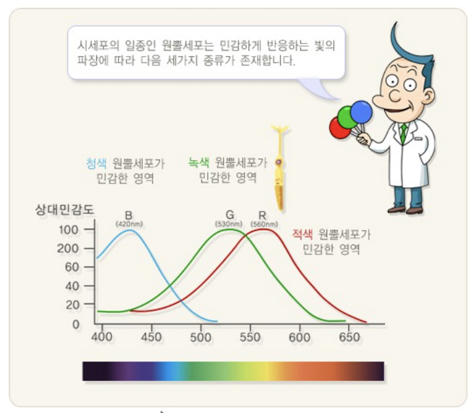 스크린샷 2025-01-28 오후 3.37.38.png
