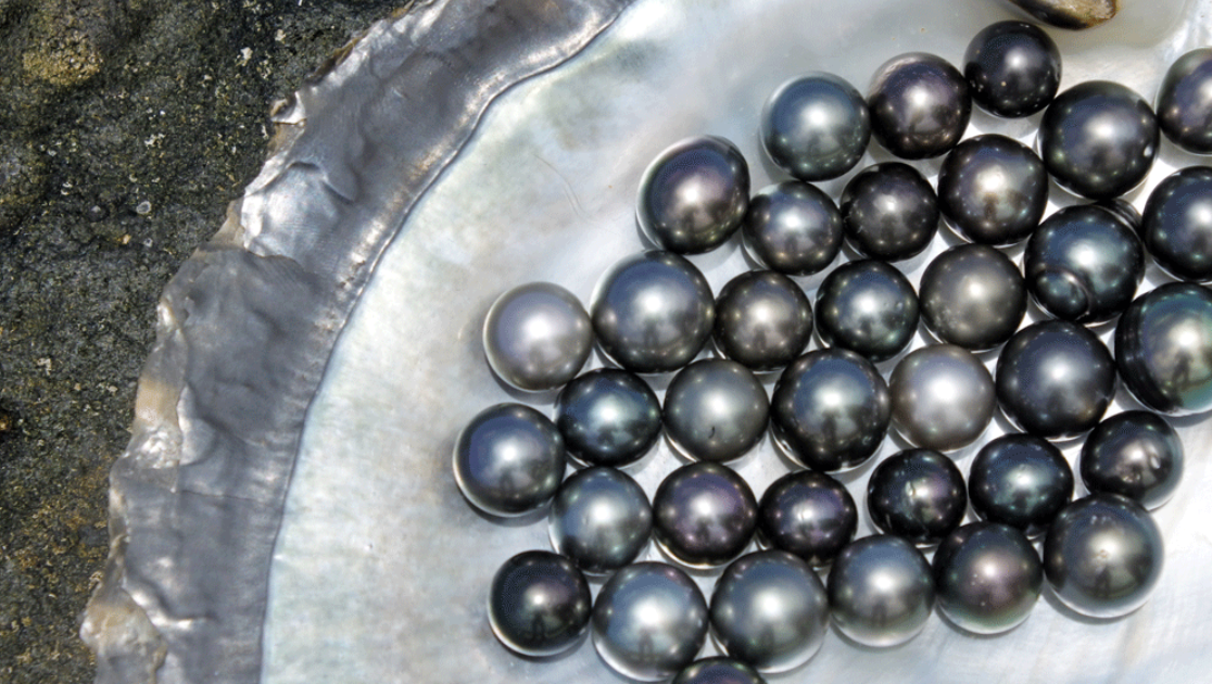 스크린샷 2025-06-02 오전 3.01.59.png