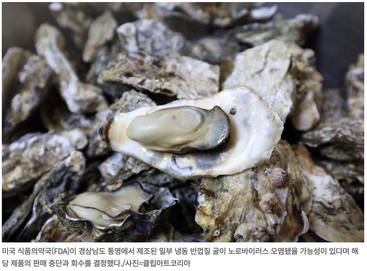 스크린샷 2025-06-04 오전 5.43.02.png