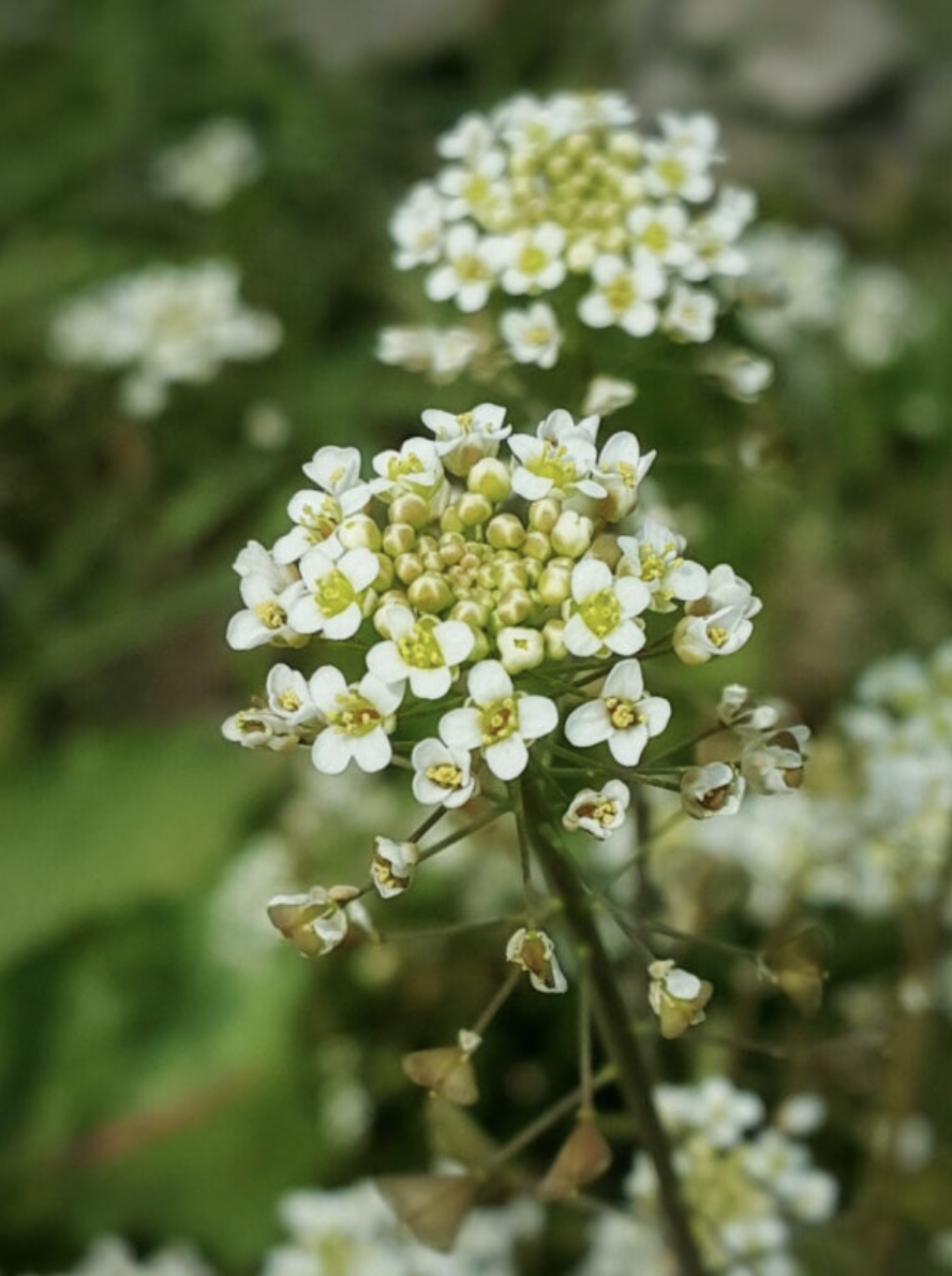 스크린샷 2025-02-22 오후 2.07.27.png