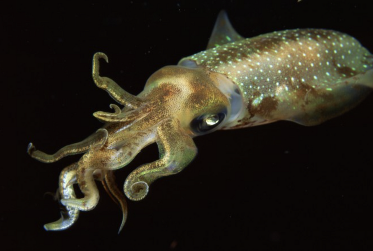 스크린샷 2025-02-01 오후 7.03.34.png