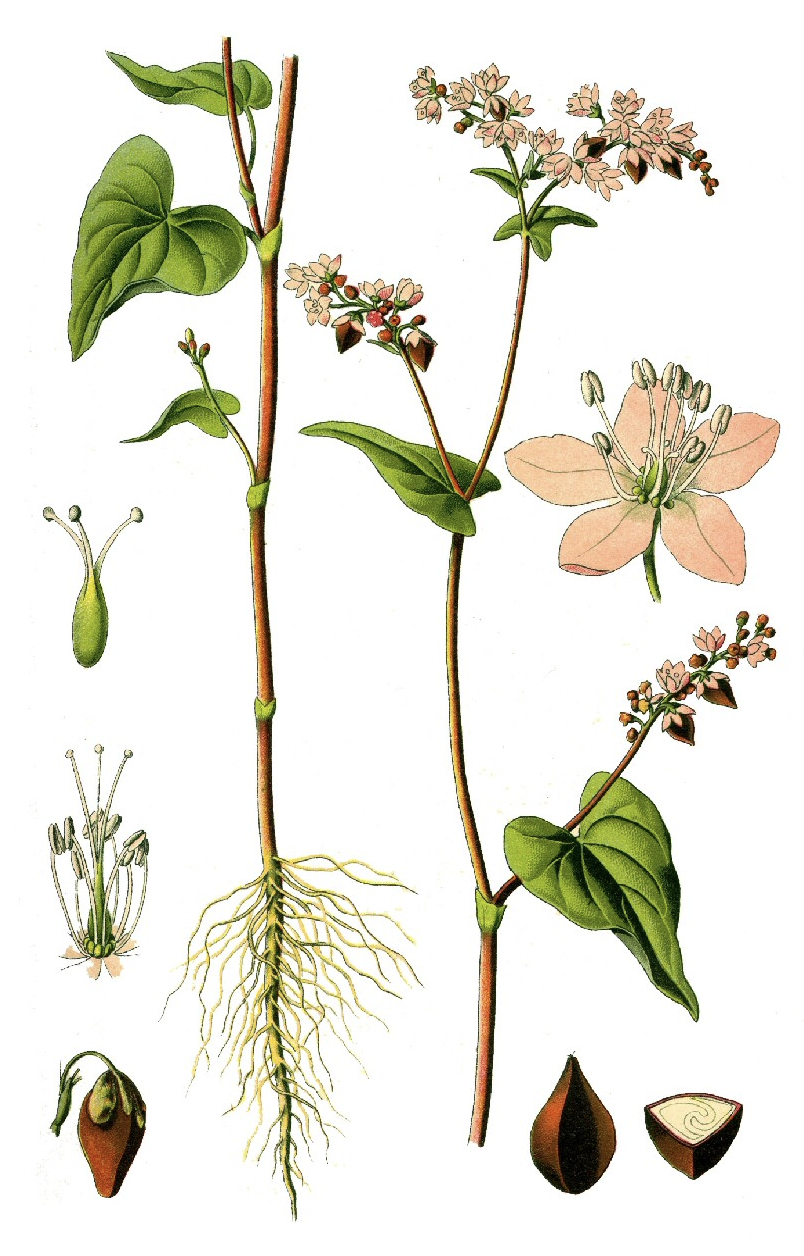 스크린샷 2025-01-31 오후 9.35.42.png