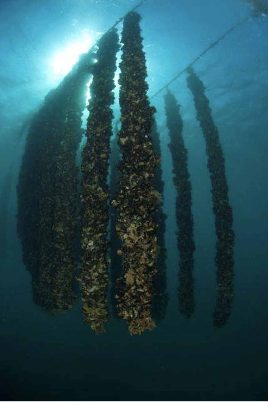 스크린샷 2025-04-15 오후 11.28.30.png