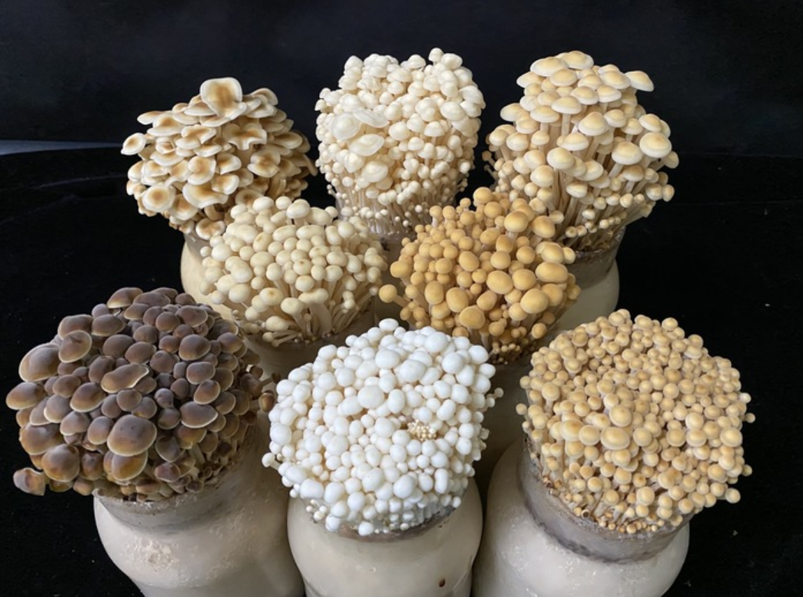 스크린샷 2025-07-10 오전 12.01.23.png