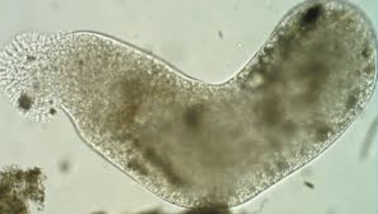 스크린샷 2025-09-22 오전 12.32.59.png