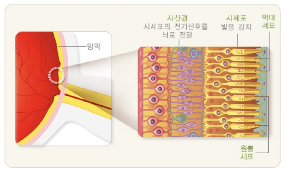 스크린샷 2025-01-28 오후 3.37.29.png