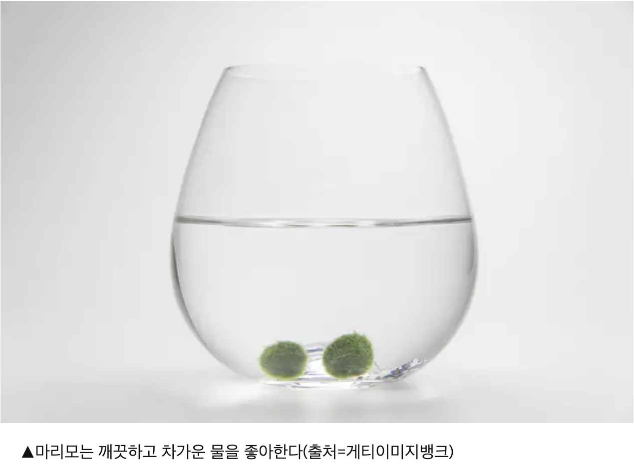 스크린샷 2025-07-26 오후 11.53.12.png