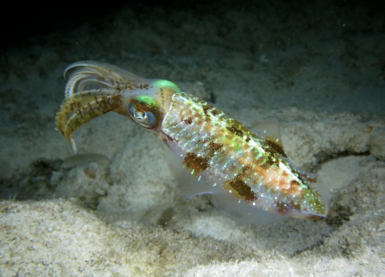 스크린샷 2025-02-01 오후 7.03.42.png