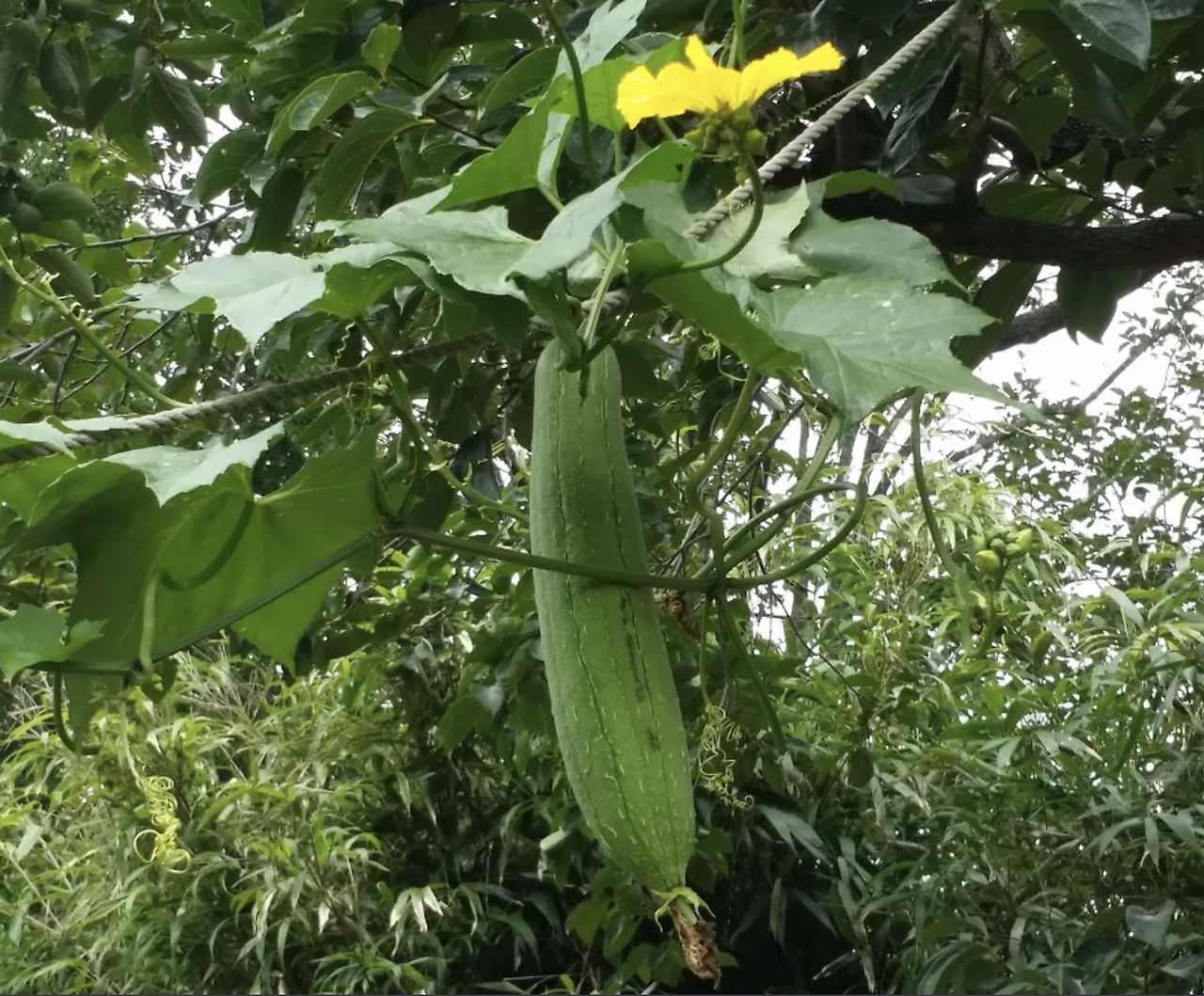 스크린샷 2025-05-27 오전 12.20.26.png