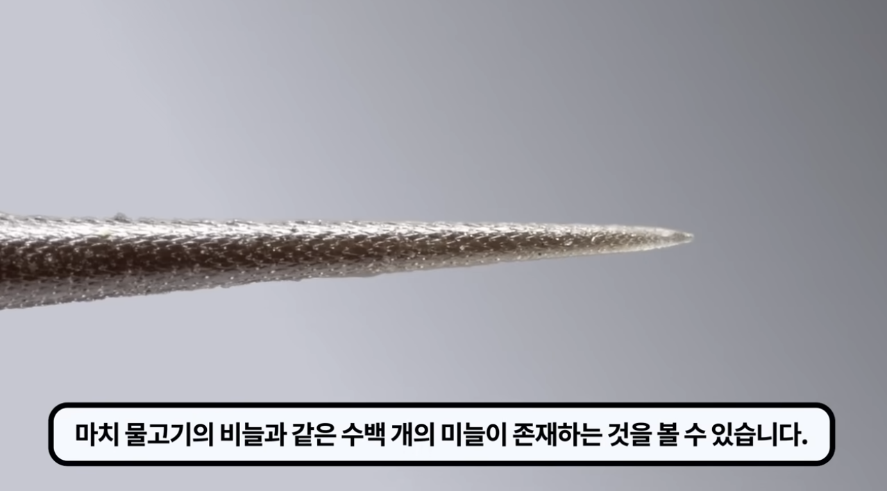 스크린샷 2025-07-21 오전 12.10.02.png