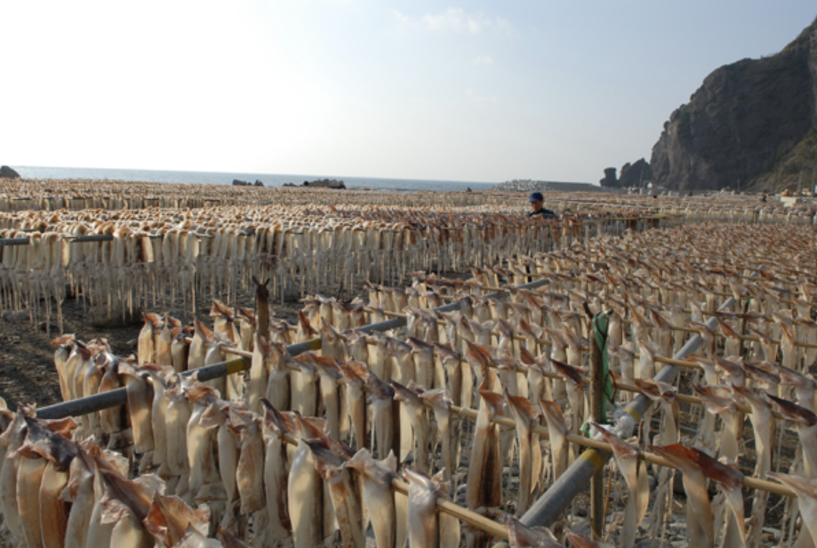 스크린샷 2025-02-01 오후 6.42.06.png