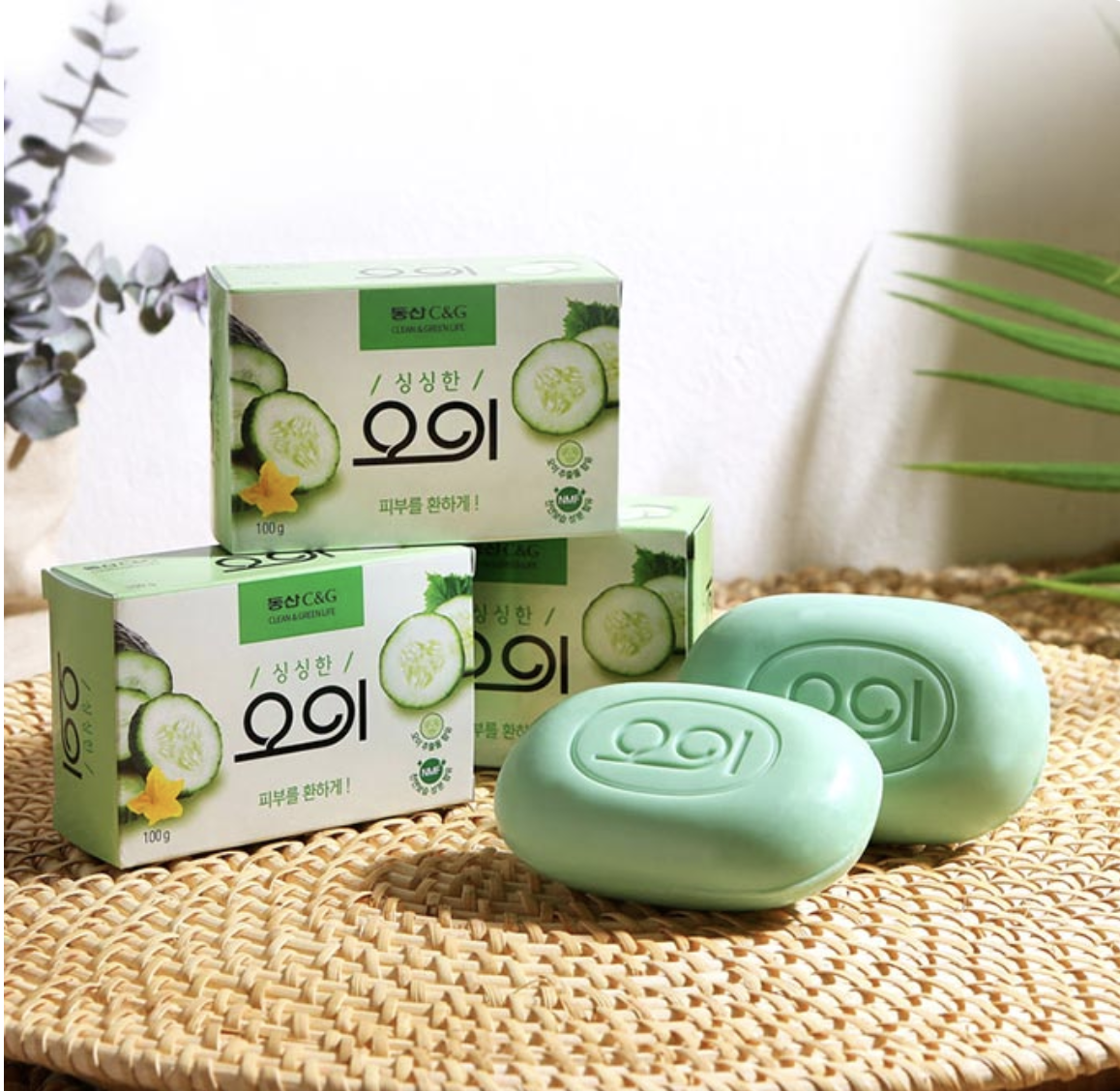 스크린샷 2025-04-17 오전 12.05.04.png