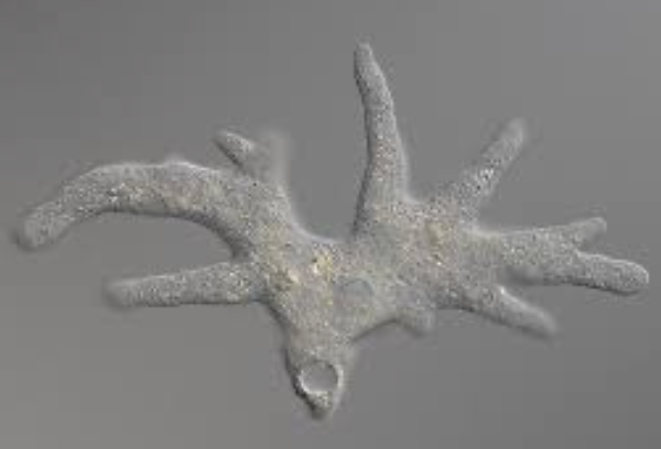 스크린샷 2025-09-22 오전 12.32.54.png