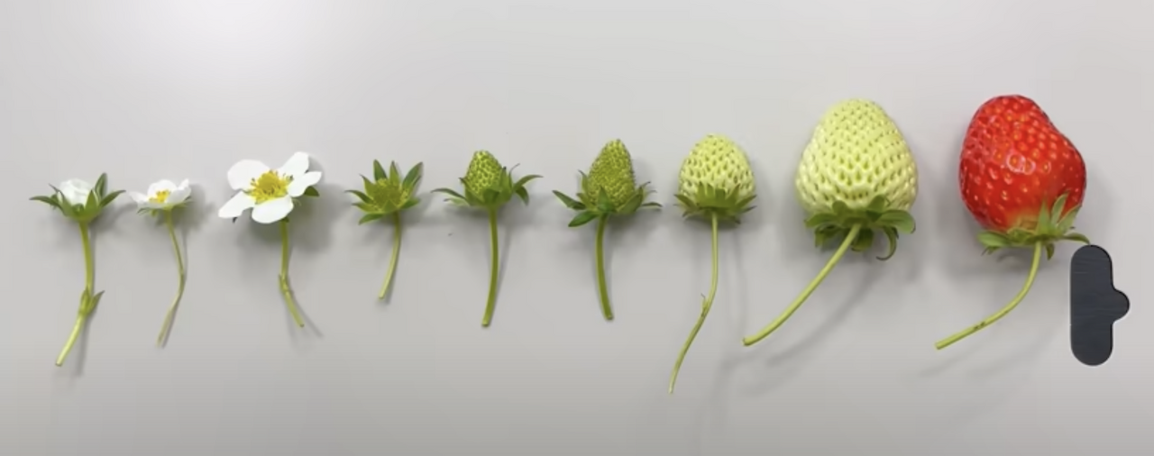 스크린샷 2025-02-27 오후 9.29.53.png