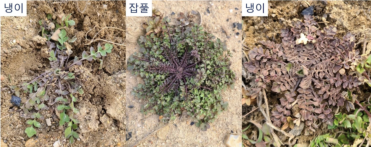 스크린샷 2025-02-22 오전 11.33.59.png