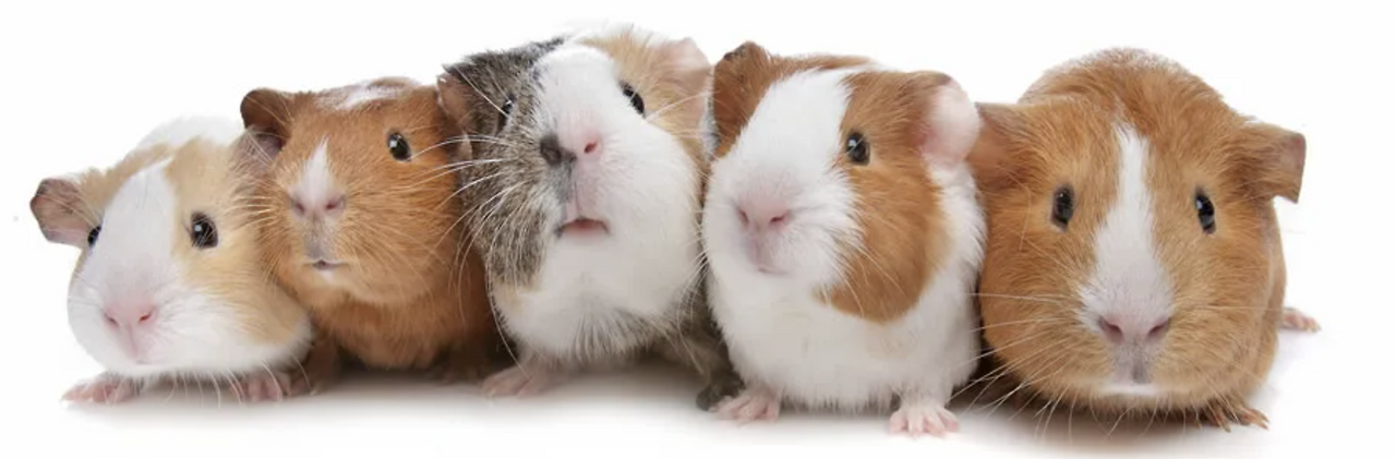 스크린샷 2025-07-13 오후 9.57.49.png