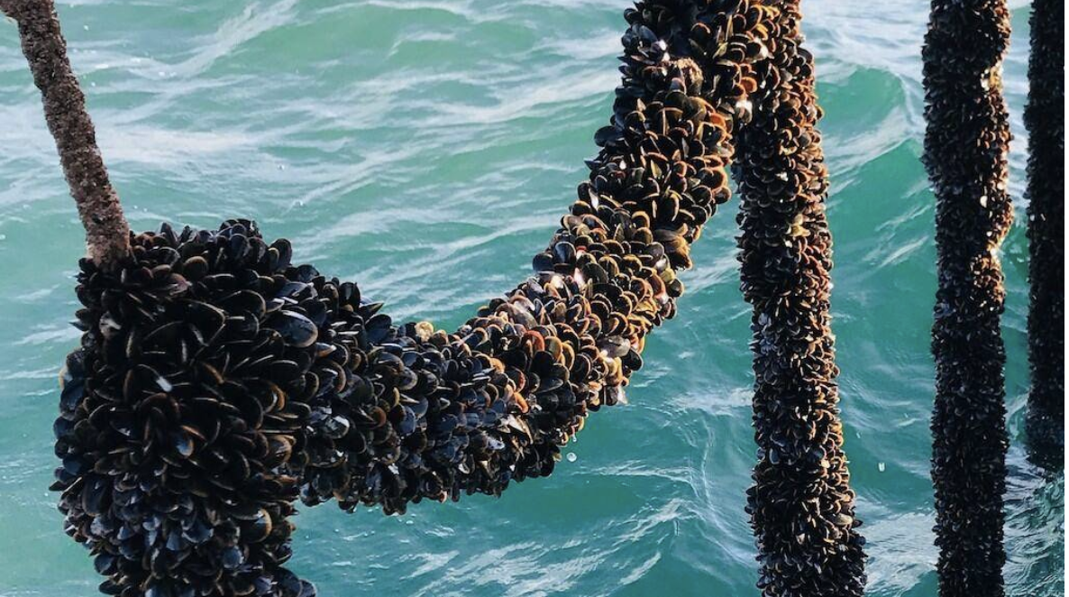 스크린샷 2025-04-15 오후 11.28.18.png