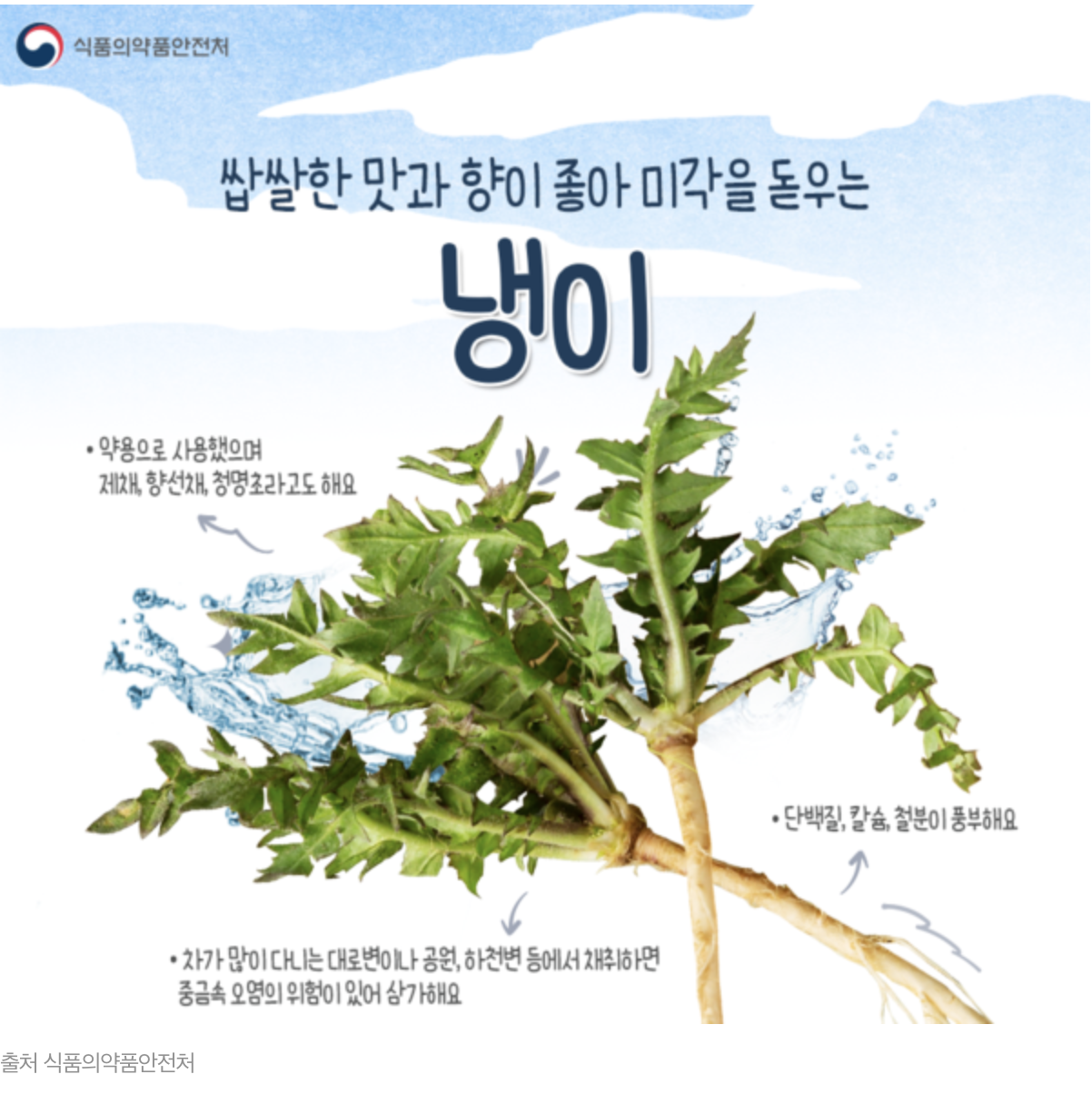 스크린샷 2025-02-22 오전 10.40.57.png