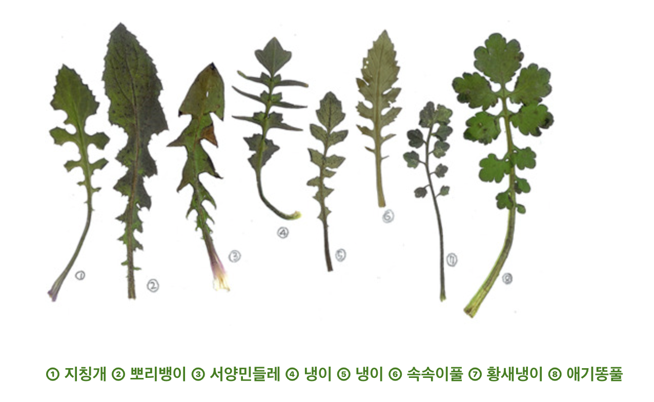 스크린샷 2025-02-22 오전 11.31.06.png