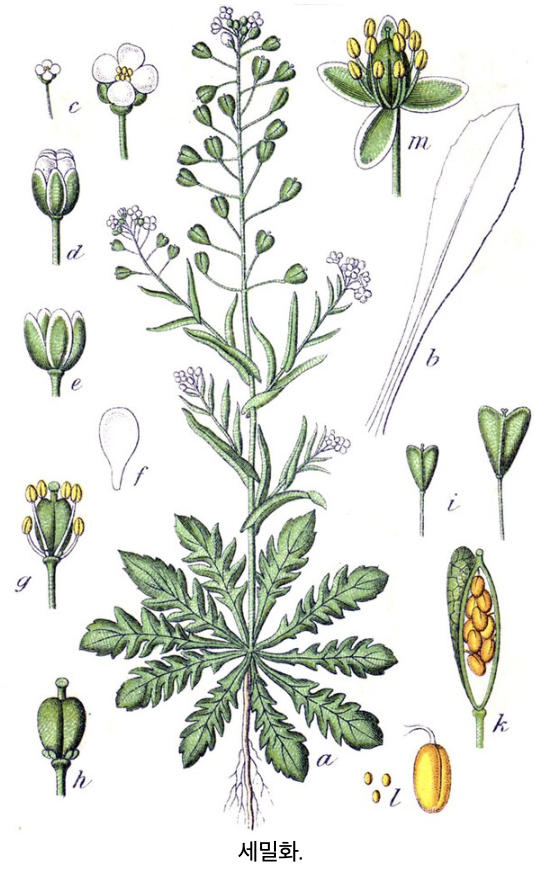 스크린샷 2025-02-22 오전 10.40.05.png