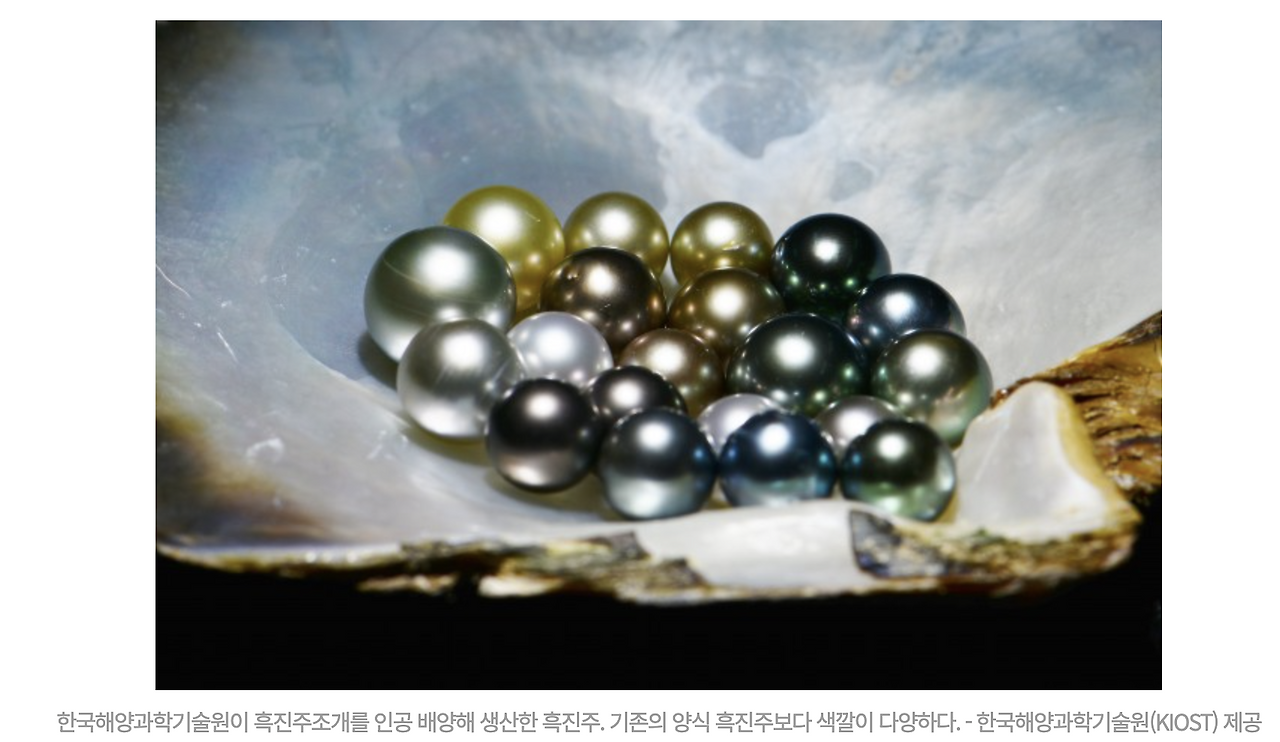 스크린샷 2025-06-02 오전 2.49.46.png