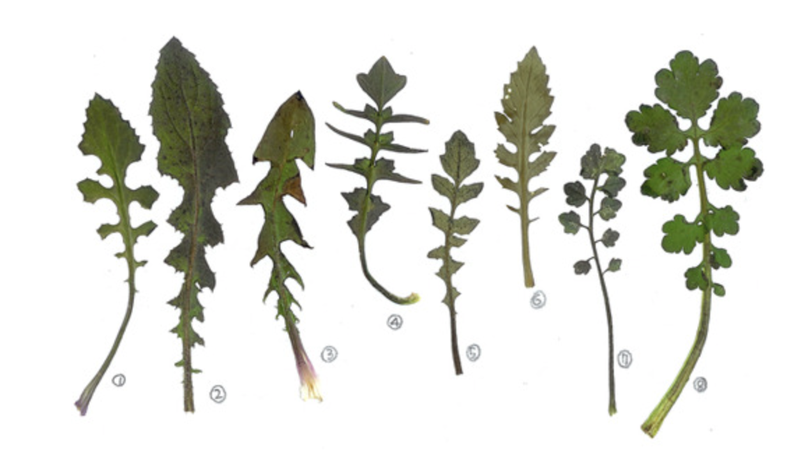 스크린샷 2025-02-22 오전 11.31.01.png