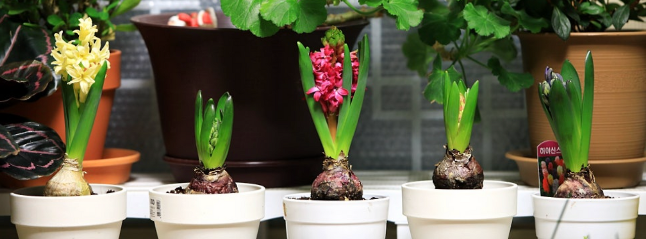 스크린샷 2025-04-02 오후 8.02.16.png