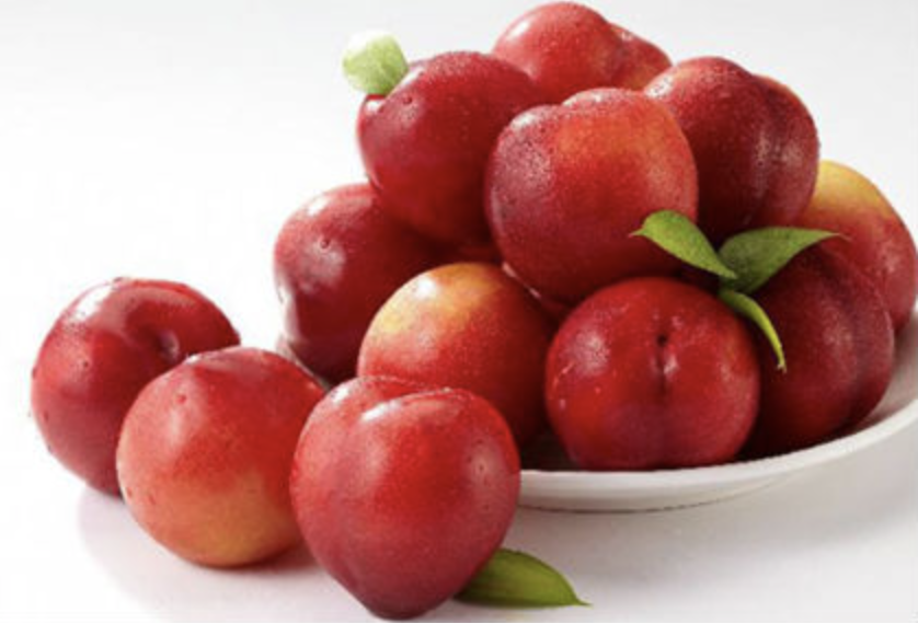 스크린샷 2025-07-10 오후 11.52.13.png