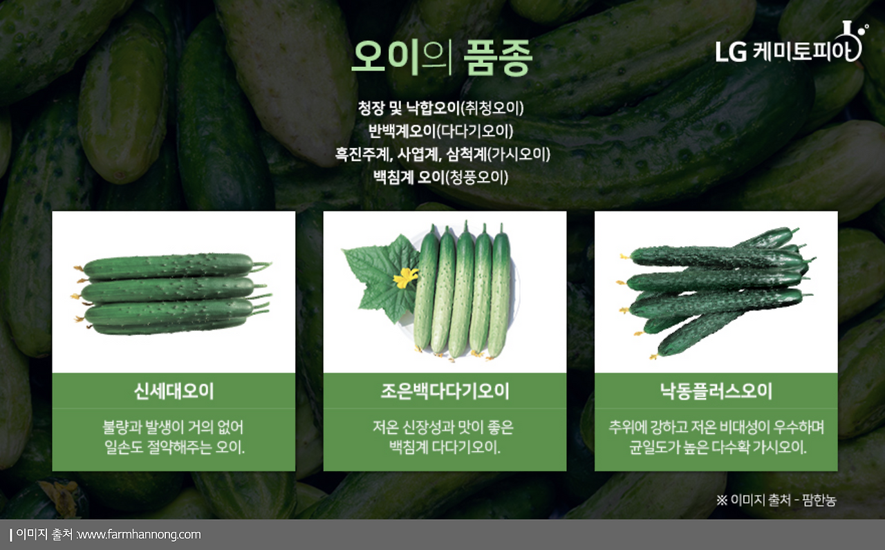 스크린샷 2025-04-17 오전 12.14.01.png