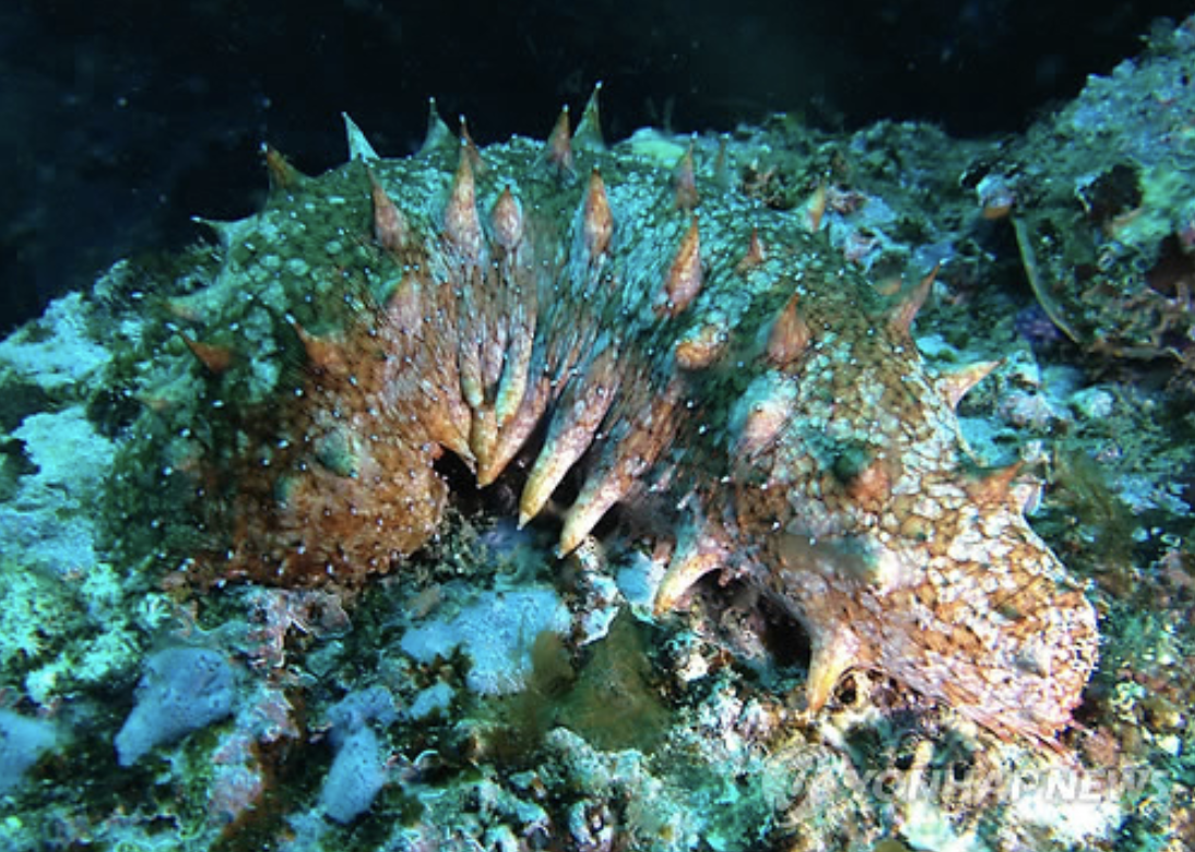 스크린샷 2025-07-12 오후 11.43.20.png