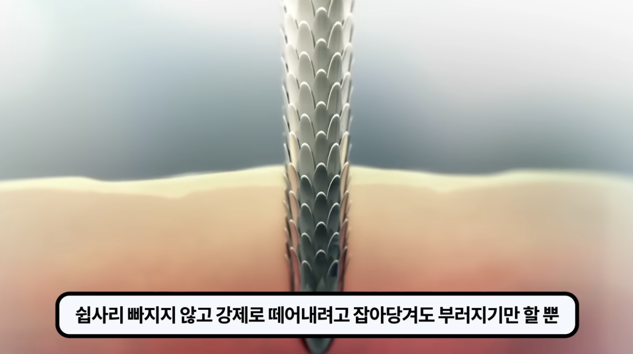 스크린샷 2025-07-21 오전 12.10.13.png