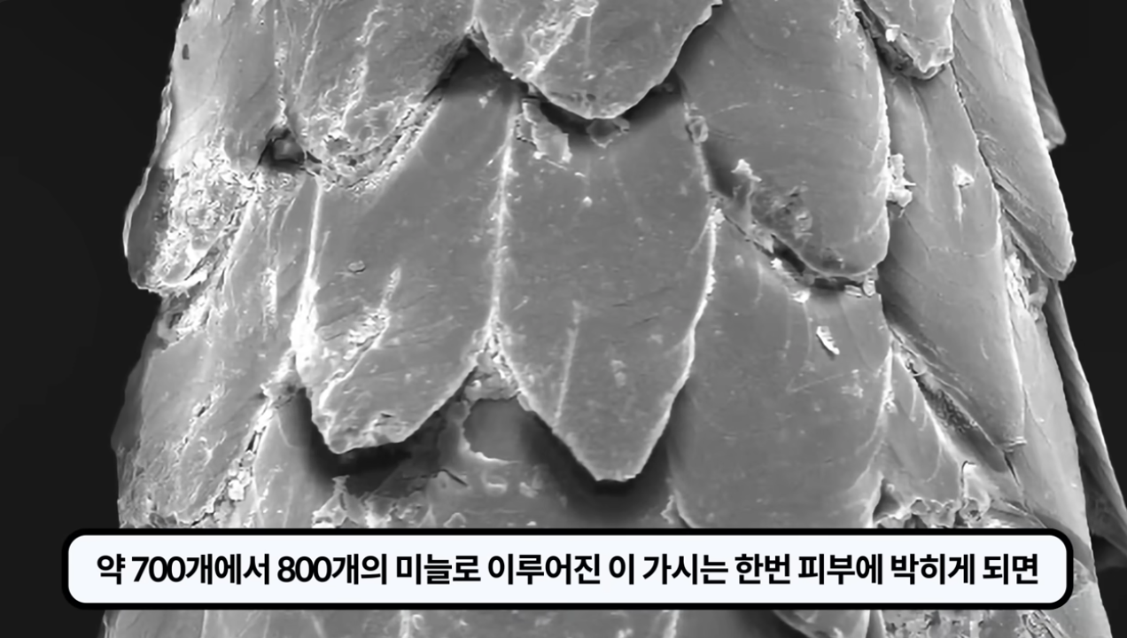 스크린샷 2025-07-21 오전 12.10.07.png