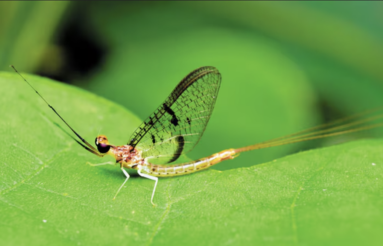 스크린샷 2025-04-27 오후 10.33.09.png