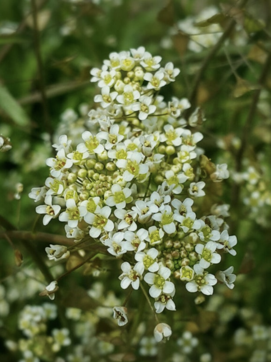 스크린샷 2025-02-22 오후 2.07.21.png